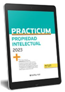 Practicum Propiedad Intelectual 2023