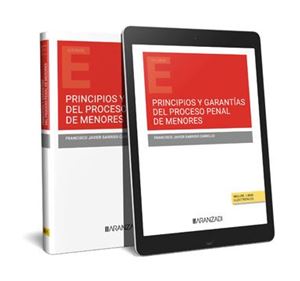 Principios y garantías del proceso penal de menores 1ª Ed.
