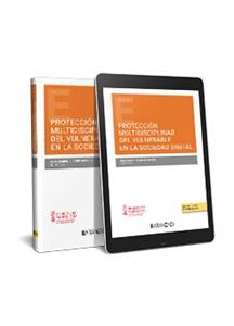 Protección multidisciplinar del vulnerable en la sociedad digital 1ª Ed.